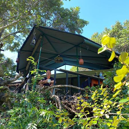 Jungle Cabin - Bundala Bundala Levagangoda Extérieur photo
