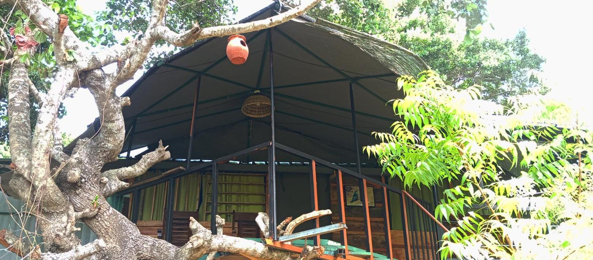 Jungle Cabin - Bundala Bundala Levagangoda Extérieur photo